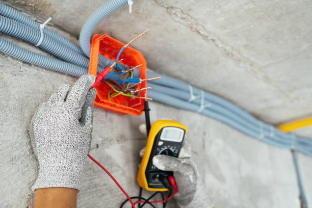 Best Electric Panel Repair  in Robstown, TX